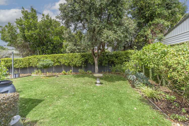 29 Tasman Avenue Mount Albert_22