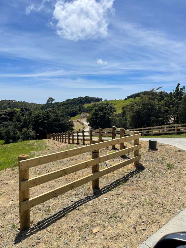 Mangawhai Bush Estate Mangawhai_6