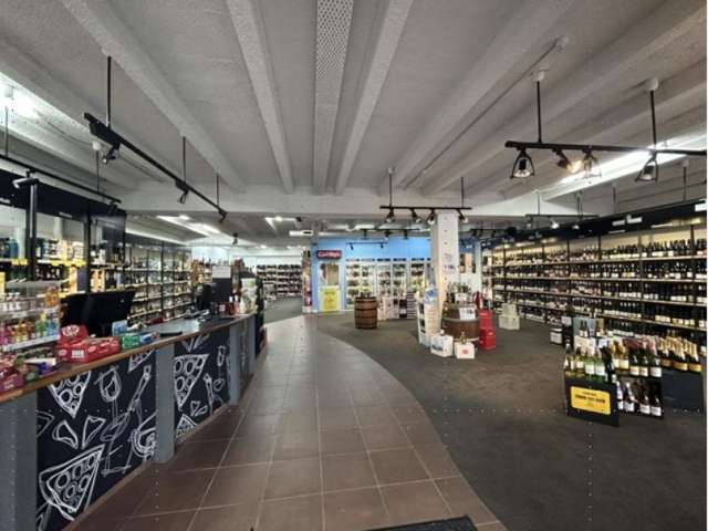 Ground/256 Dominion Road Mount Eden_3