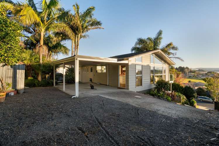 23 Carlton Street Bellevue_17