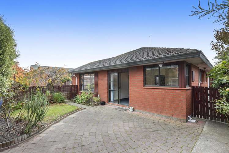 38A Greenock Street Redwood_6