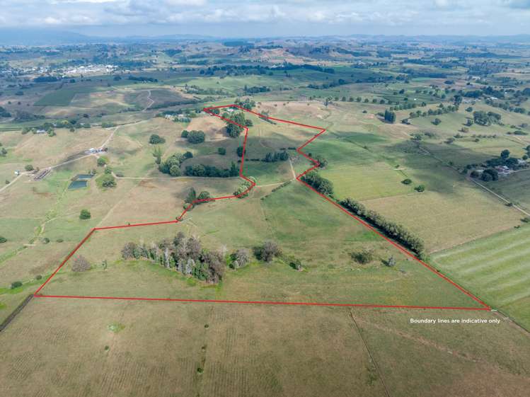 284 Hetherington Road Tirau_34