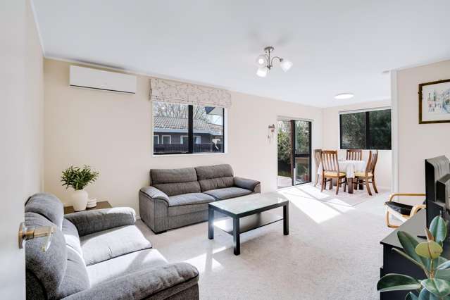 79B Dominion Road Nawton_1