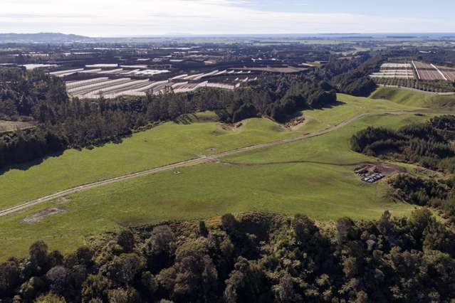852 Rangiuru Road Rangiuru_4