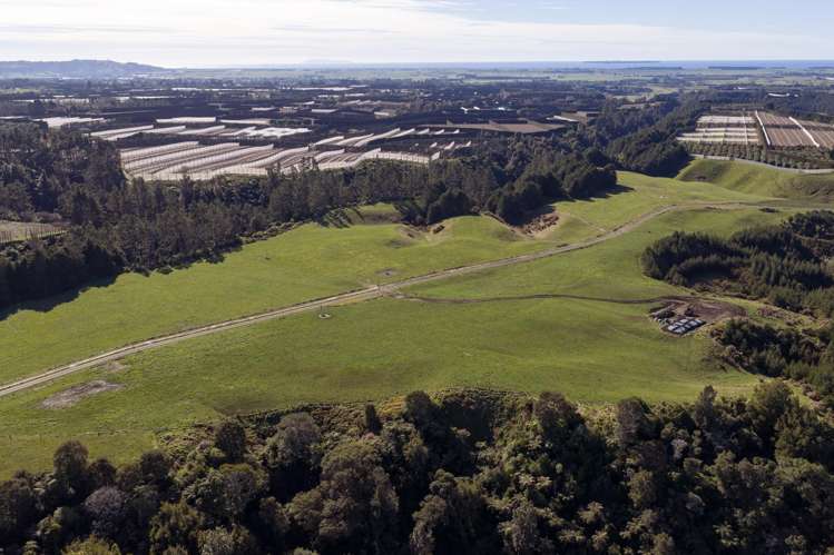 852 Rangiuru Road Rangiuru_11
