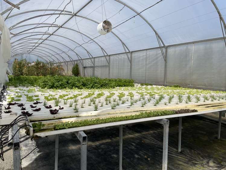 9 Karapiro Road Karapiro_22