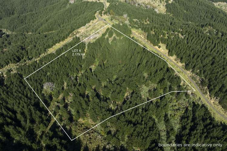 Lot 3 and 4/169 Tunatahi Road_5