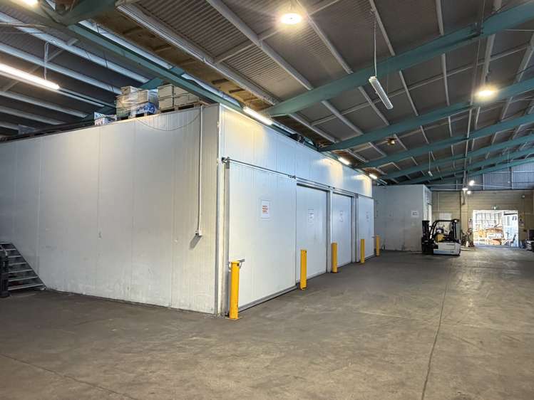 9 Midland Street South Dunedin_5