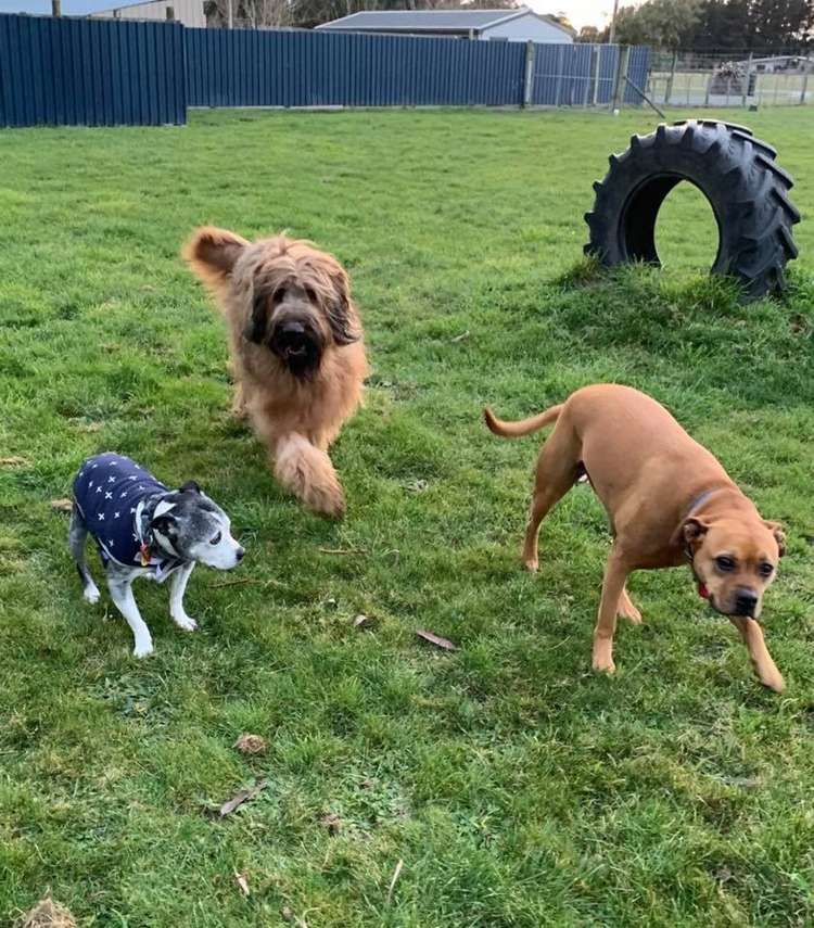 210 Terrace Road Leithfield_16