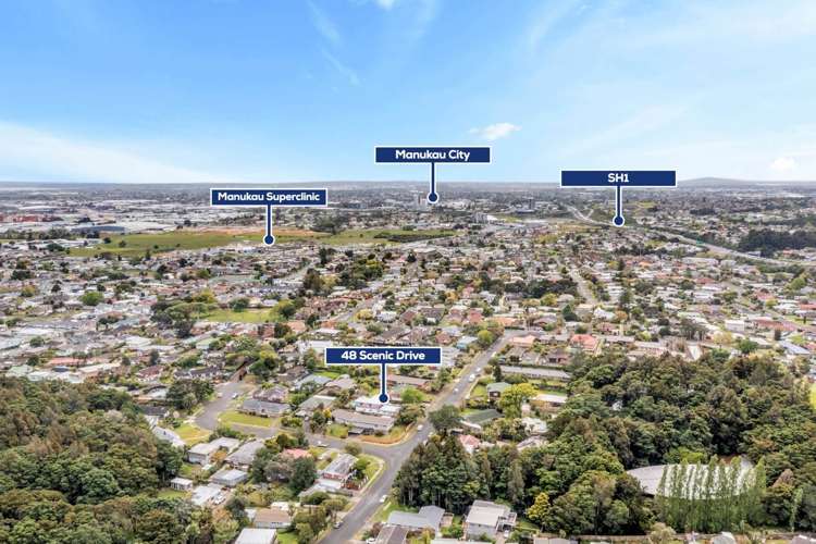 48 Scenic Drive Hillpark_24