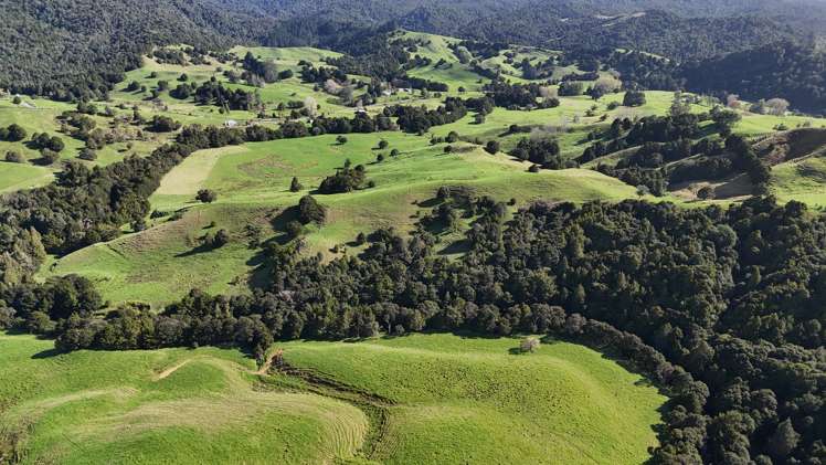 30C Te Ranga Road Kaeo_36