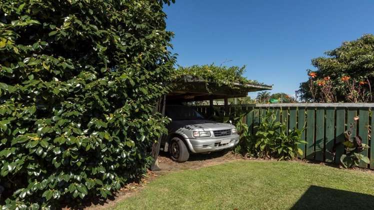556 Te Puke Highway Te Puke_4
