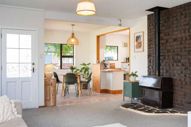 88 Freyberg Avenue Tamatea_4