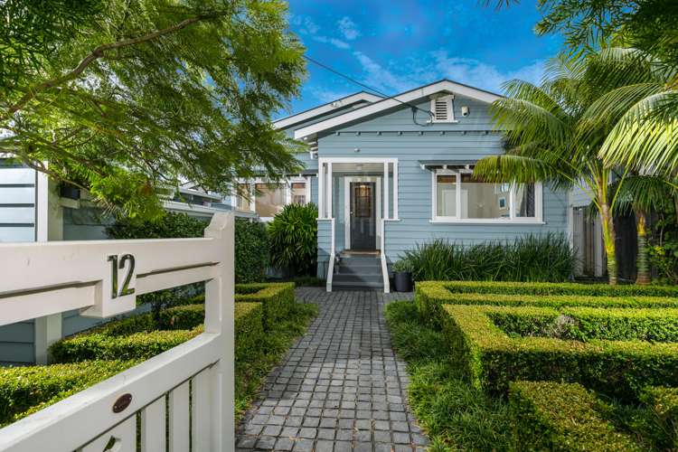 12 Ascot Avenue Narrow Neck_0