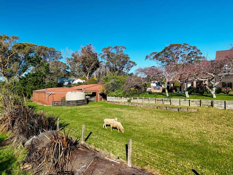 29 Westmere Road Westmere_32