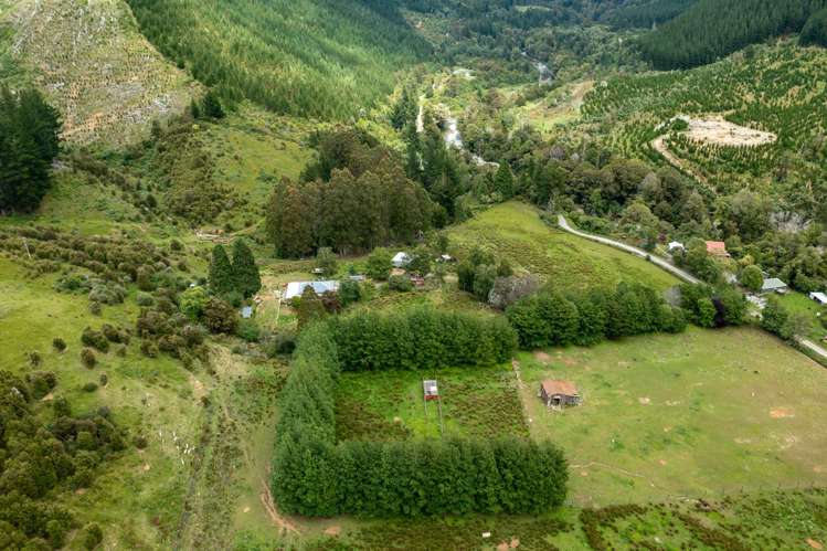 1025 Wakamarina Road Havelock_25