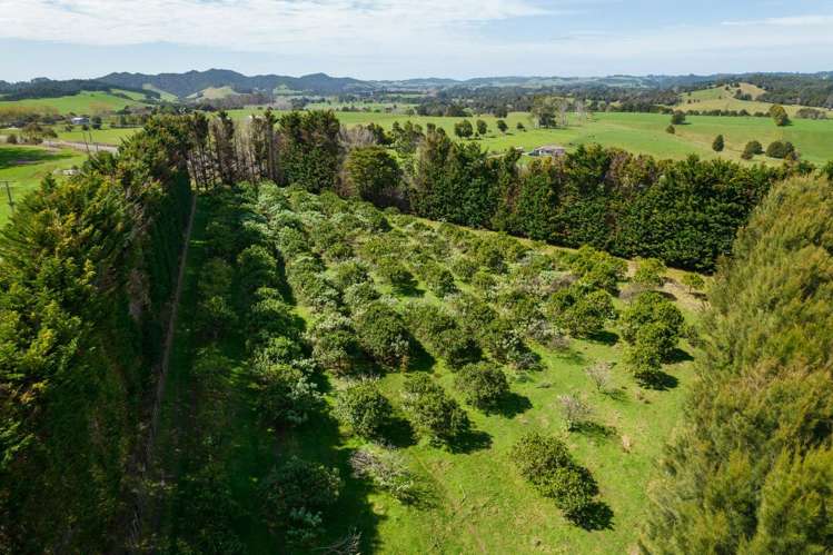 908A Te Ahu Ahu Road, Waimate North Kerikeri_6