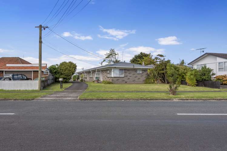 132 Astley Avenue New Lynn_1