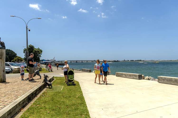 4/146 Spring Street Tauranga_13