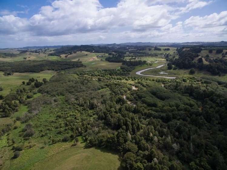 137 Sanson Road Ruawaro_7