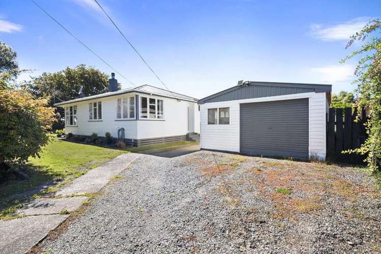 22 Ward Street Bulls_15