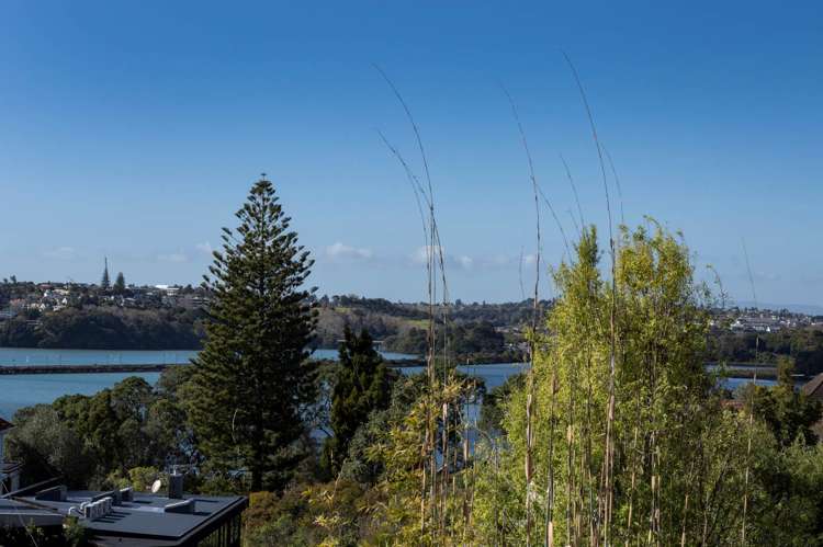 6a Lichfield Road Parnell_7