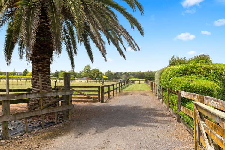 33 Jamieson Road Buckland_36