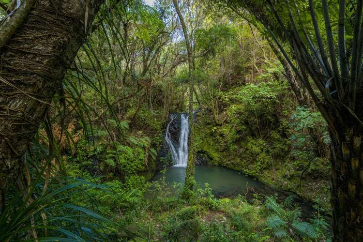 363 Mill Creek Road Kaimarama_1