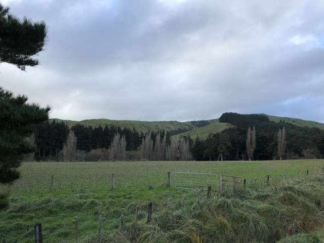 337 Saunders Road Eketahuna_1