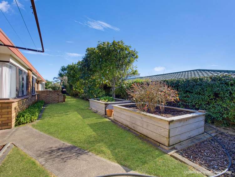 14B Boronia Place Mount Maunganui_22