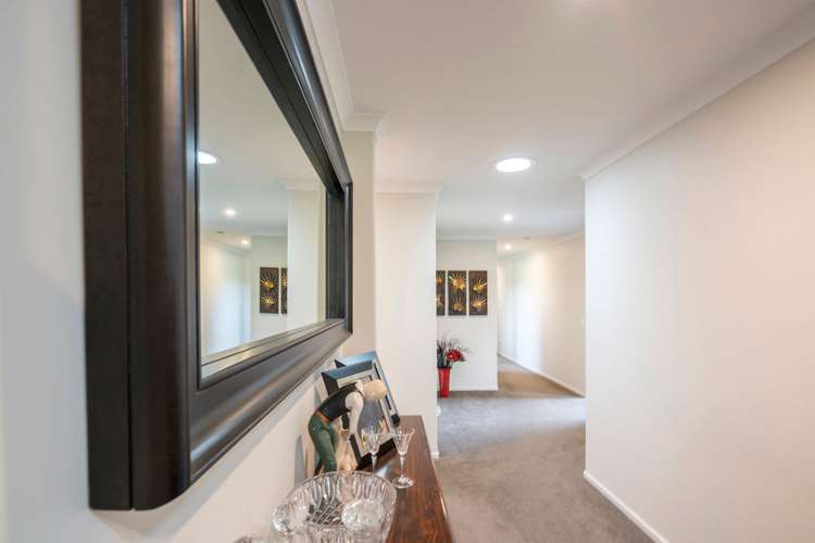 249 Curraghs Road Rolleston_14