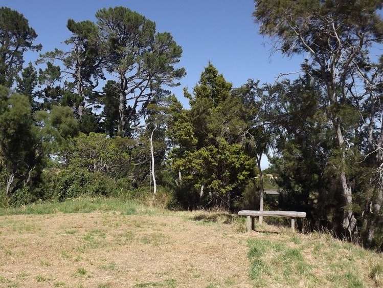 7 Te Kopi Road Te Whiti_16