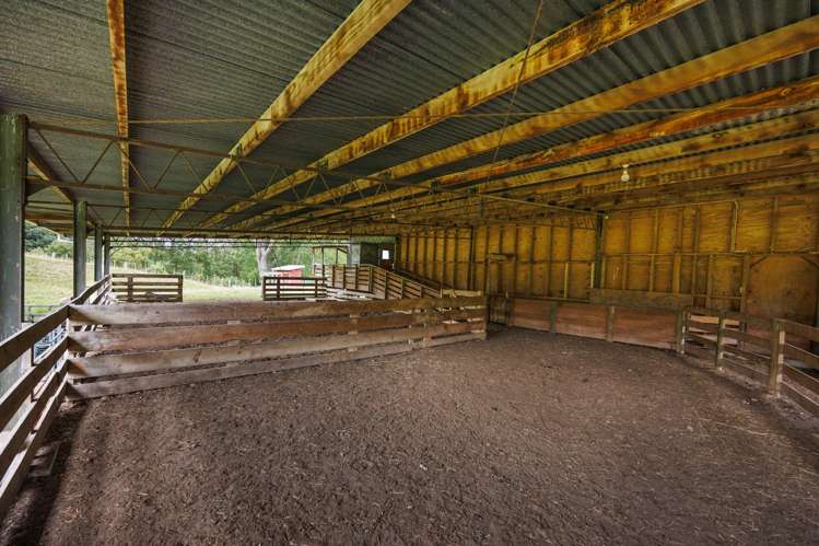 29 Kuku Road Pohangina_37