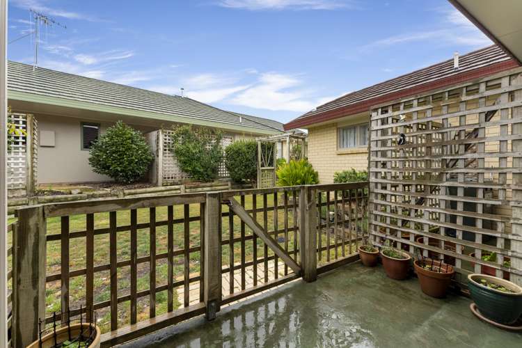 3 Foxtail Fern Kelvin Grove_13