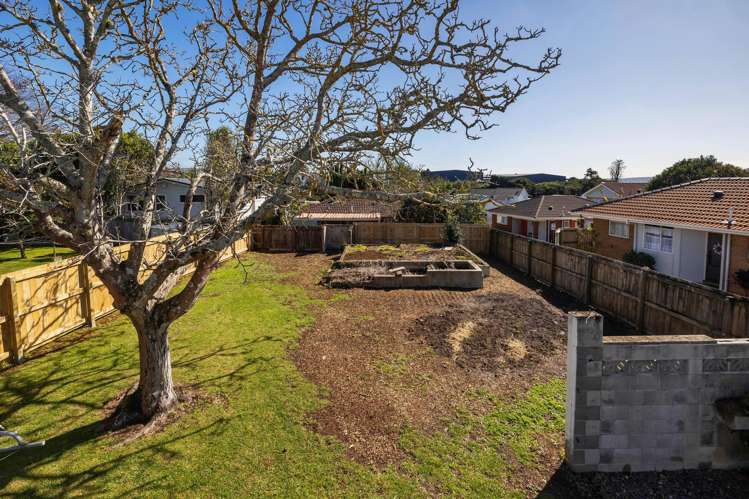 56 Eastdale Road Avondale_23