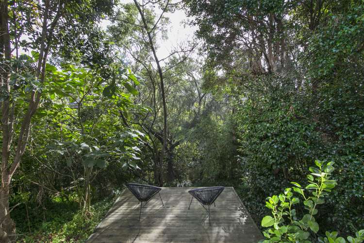 6/26 Queen Mary Avenue New Lynn_11