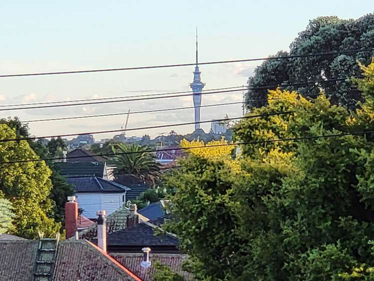 61 Duke Street Mount Roskill_2