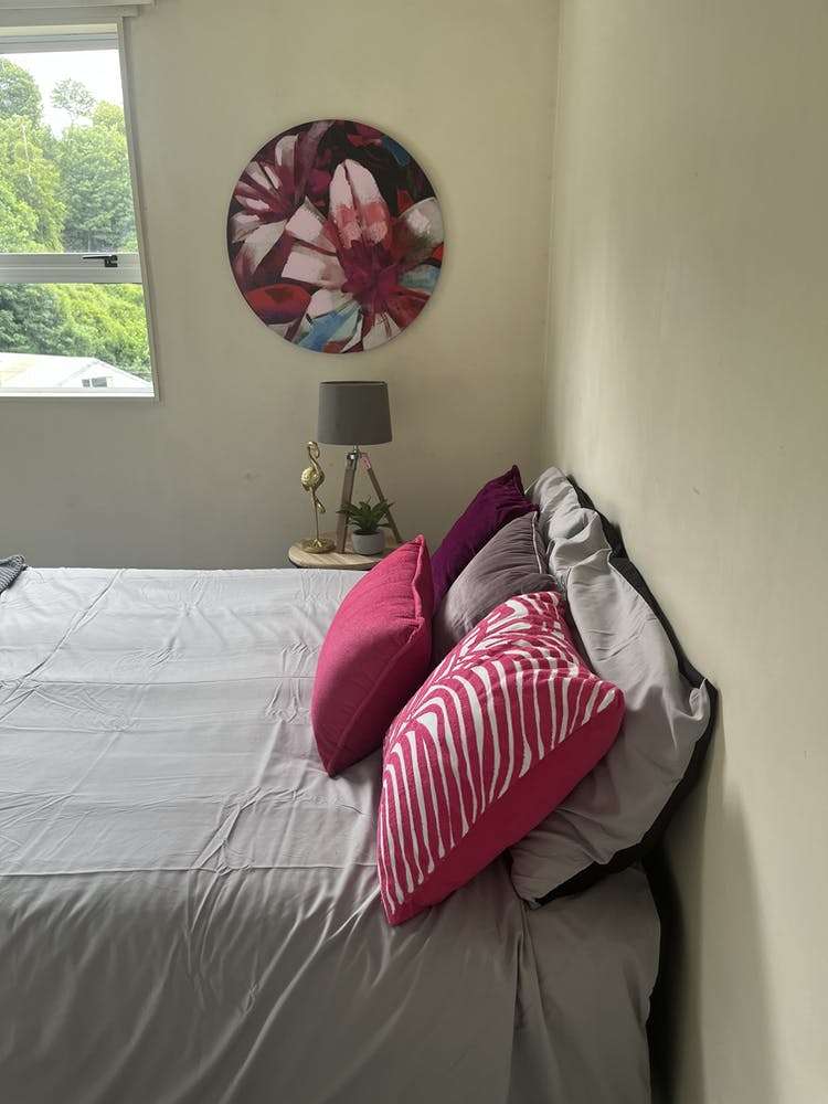 7 Serpentine Avenue Dunedin Central_11