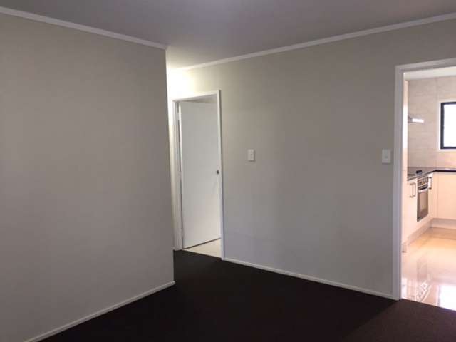 5/17 Luke Street Otahuhu_2