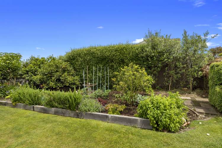 20 Stirling Drive Morrinsville_19