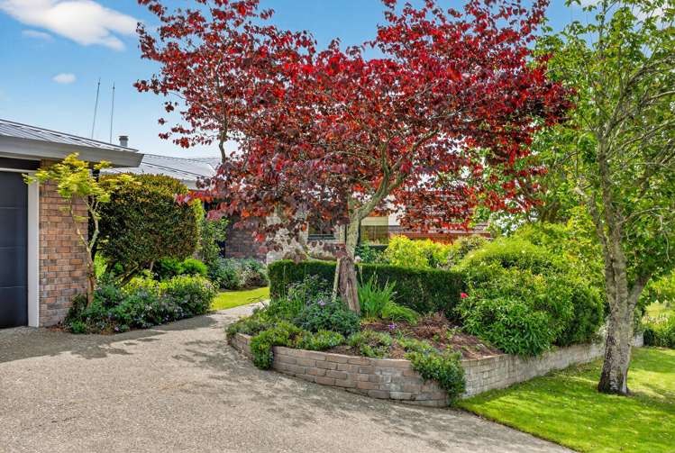 24 Reeve Drive Havelock North_2