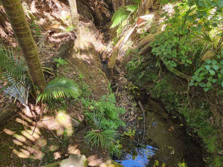 21 Glen Brook Road Waiheke Island_6