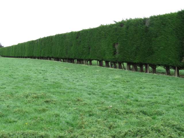 665 North Makarewa Grove Bush Road Makarewa_2