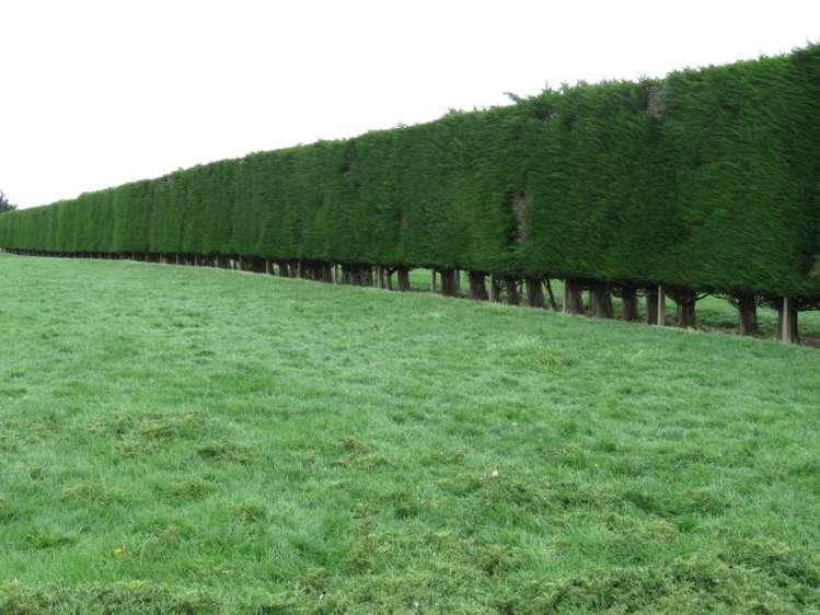 665 North Makarewa Grove Bush Road Makarewa_2