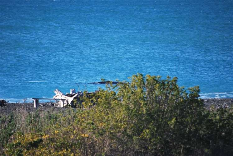 106a Beach Road Kaikoura_18