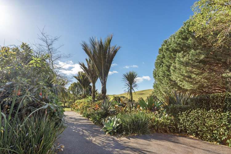 78 River Drive Kerikeri_30