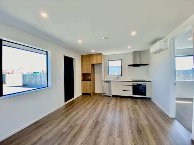  77 Waikirikiri Avenue Lincoln_1