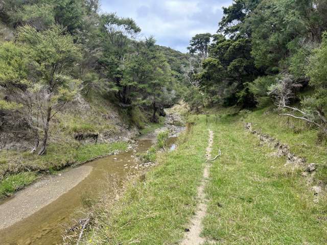 310 Branscombe Road Akitio_3