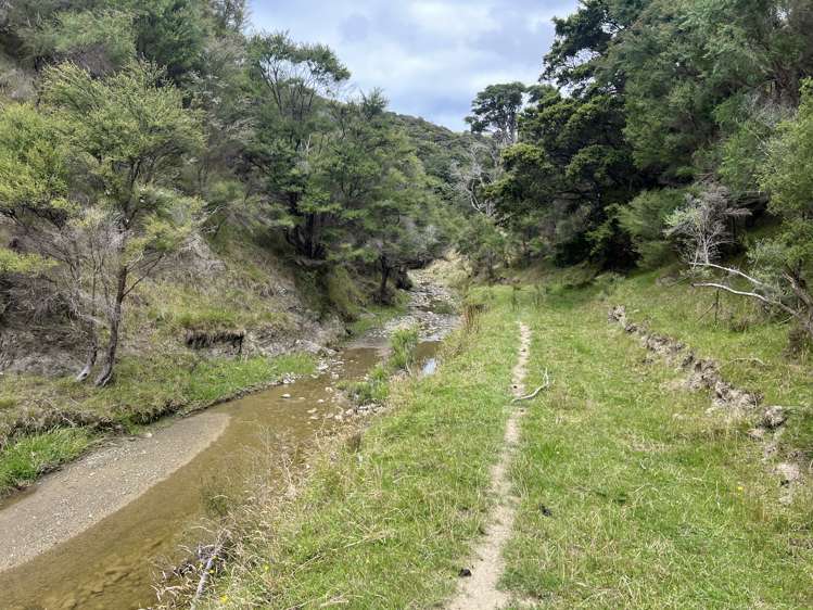 310 Branscombe Road Akitio_3