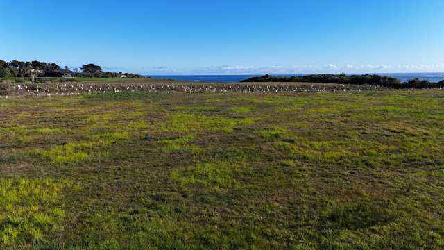 Lot 4 Omau Heights, Cape Foulwind Road Cape Foulwind_3